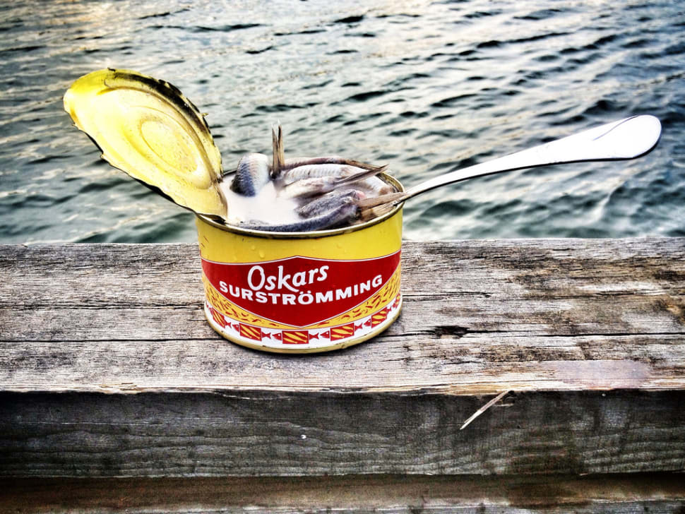 Surströmming or Sour Herring Season in Sweden 2018 Rove.me
