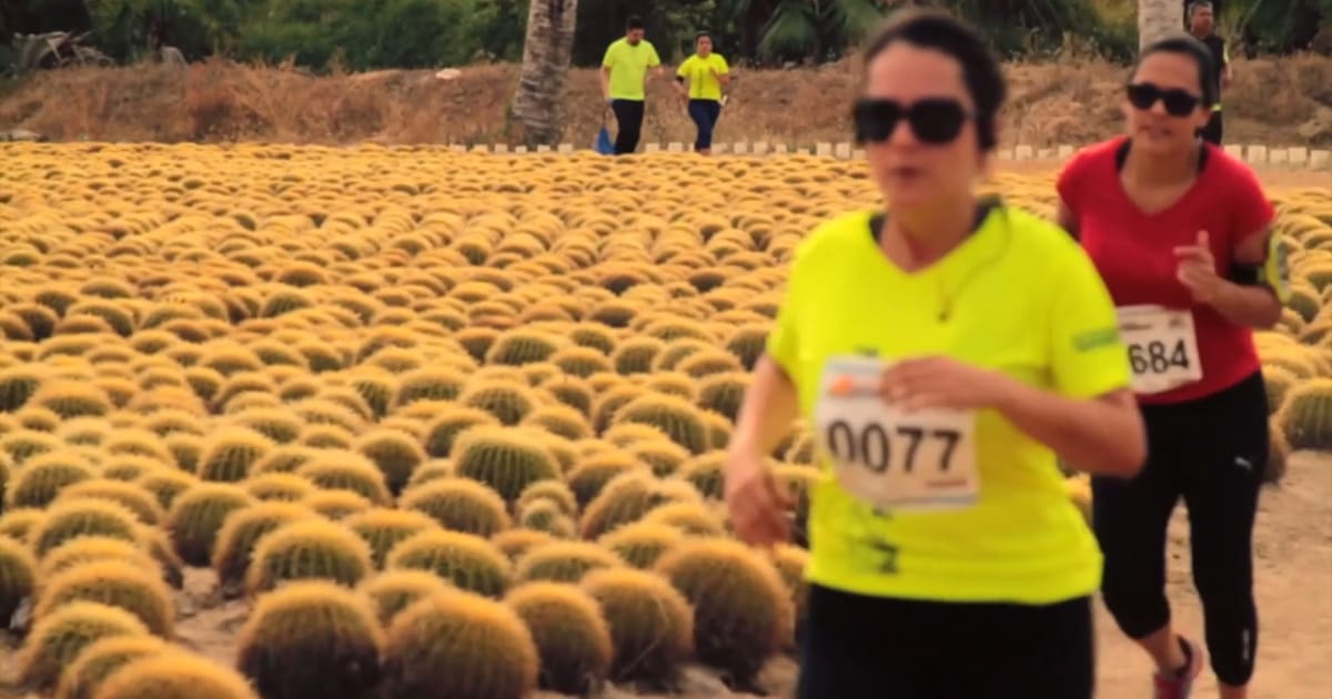 Los Cabos Half Marathon 2020 in Cabo San Lucas Dates