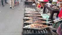 Dagupan City Bangus Festival