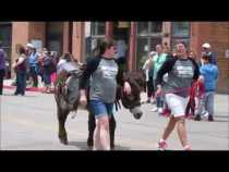 Donkey Derby Days