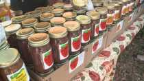 Kimmswick Apple Butter Festival