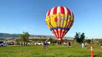 Casper Balloon Roundup