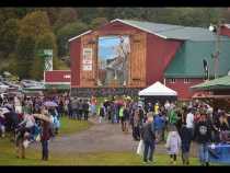 LaFayette Apple Festival