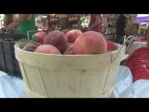 Niagara County Peach Festival in Lewiston