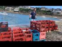 L'immersion des vins en baie de St Malo