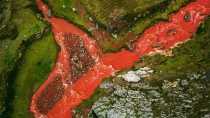 Roter Fluss