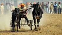 Jeux olympiques ruraux à Kila Raipur