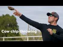 World Cow Chip Throwing Contest