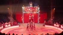 European Circus Festival