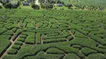 Richardson Adventure Farm Corn Maze