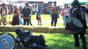 Shasta Renaissance and Fantasy Faire