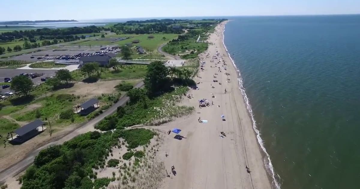 Hammonasset Festival 2022