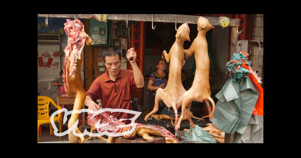 Yulin Dog Meat Festival 2020 in China Dates & Map