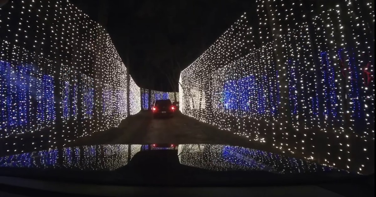 Suwannee Lights in Florida, 2022