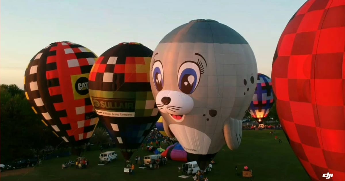 Frankenmuth Balloon Festival 2022