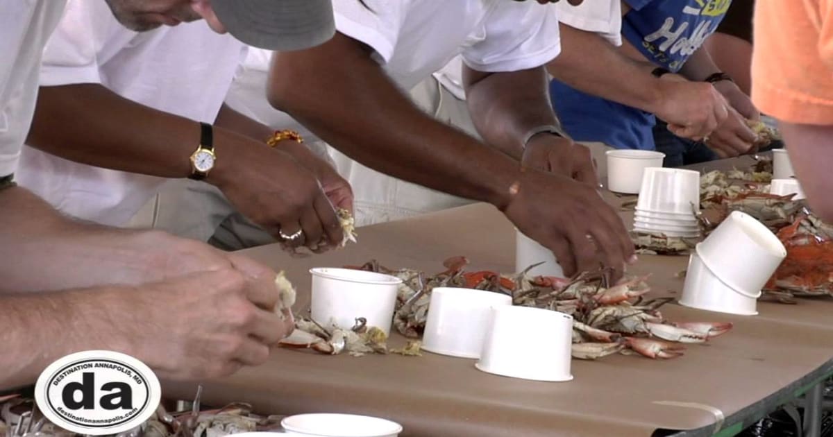 Maryland Seafood Festival 2022 - Dates