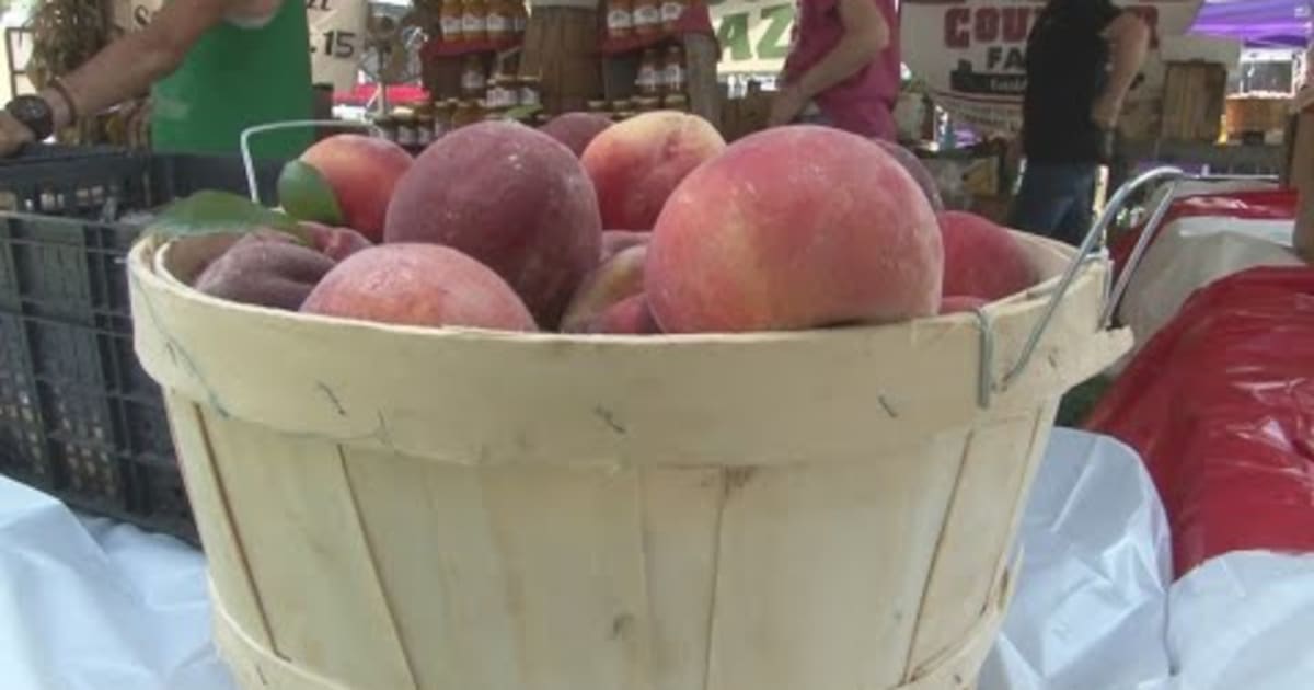 Niagara County Peach Festival in Lewiston 2025, New York State Rove.me