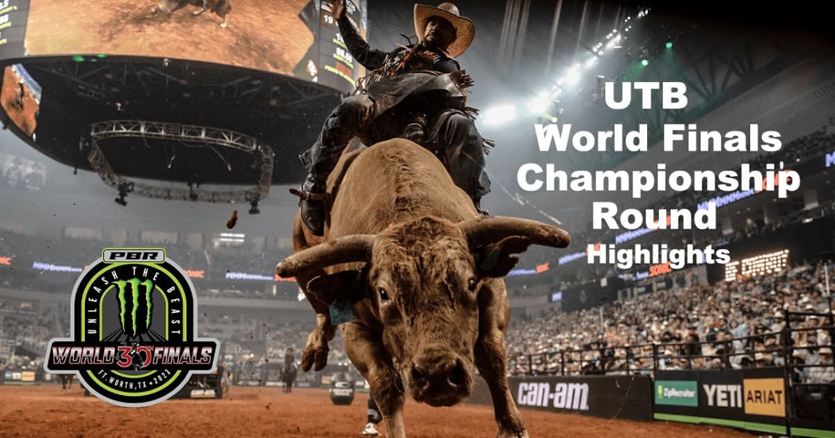 National Finals Rodeo 2024 in Las Vegas Rove.me