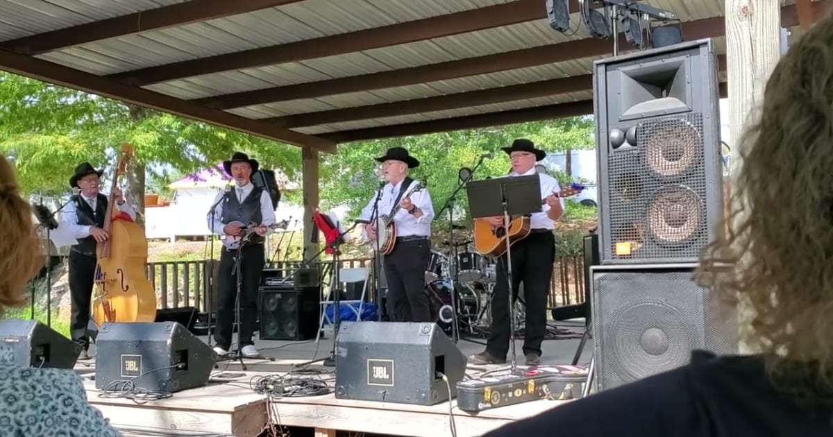 Washington Parish Free Fair 2024 in Louisiana Rove.me