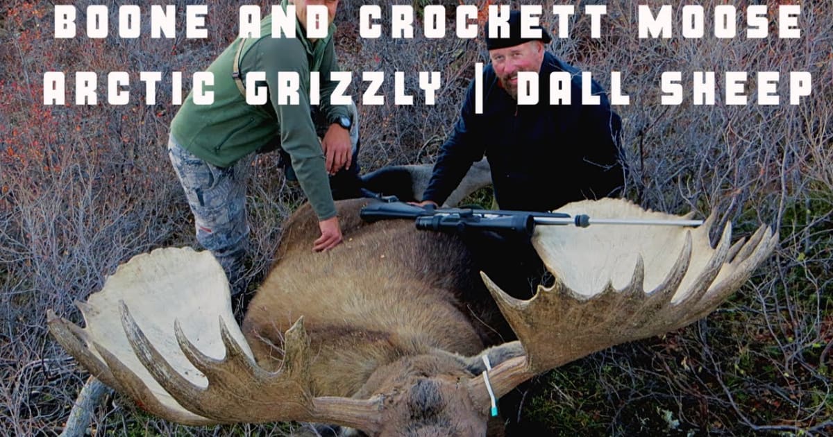 Best time for Big Game Hunting in Alaska 2025 Best Season Rove.me