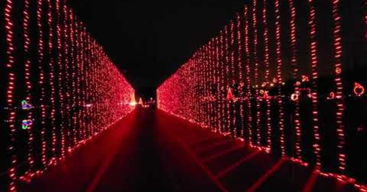 Coney Island’s Nights of Lights 20242025 in Midwest Rove.me