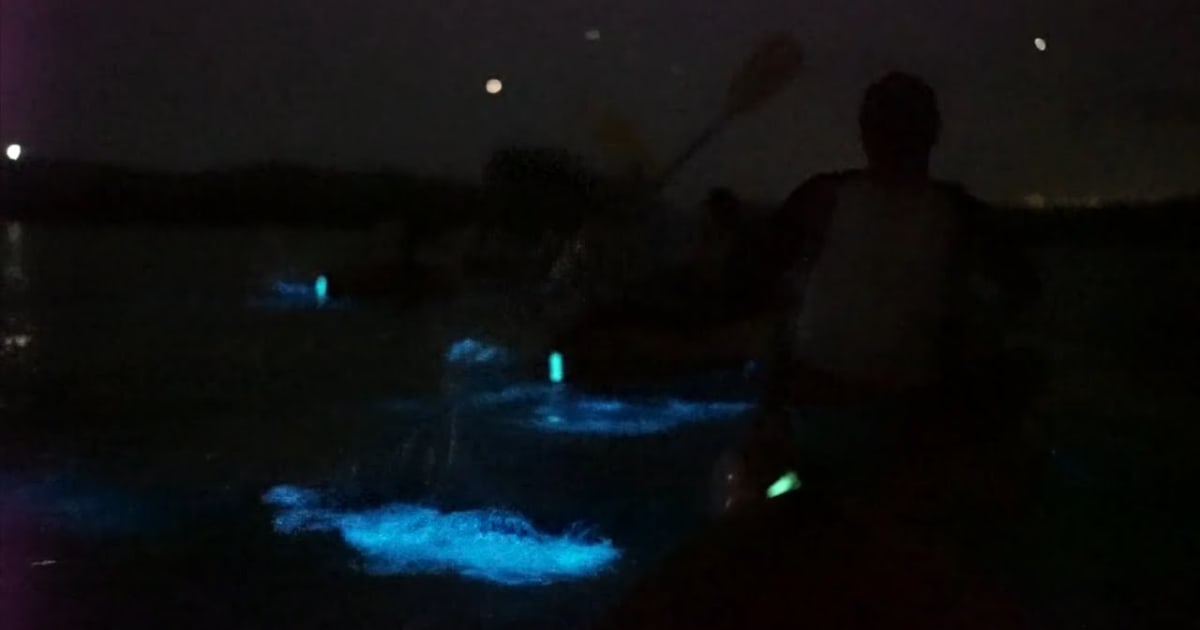 Bioluminescent Bays in Puerto Rico: Best Time to Go