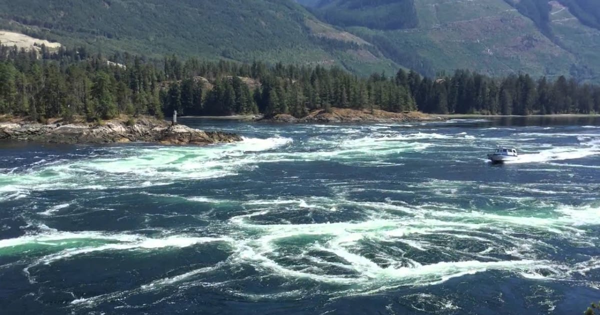 Best Time to See Skookumchuck Narrows in British Columbia 2023 Rove.me