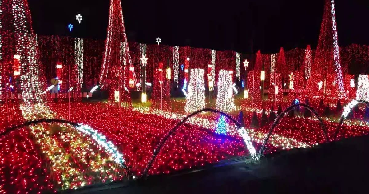 Christmas Lights in Fort Lauderdale 20222023, Fort Lauderdale, FL Dates