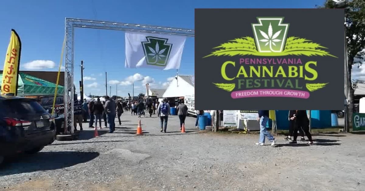 Pennsylvania Cannabis Festival 2024 Rove.me