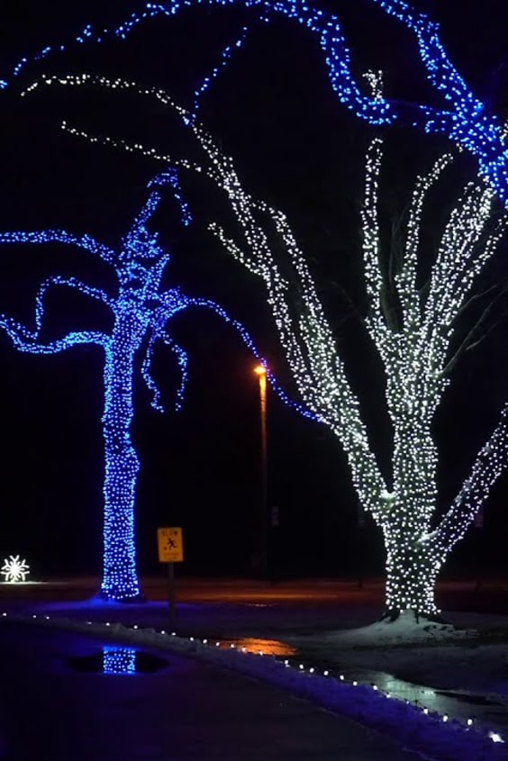 Festive Christmas tree display at Festival of Trees Utah 2026