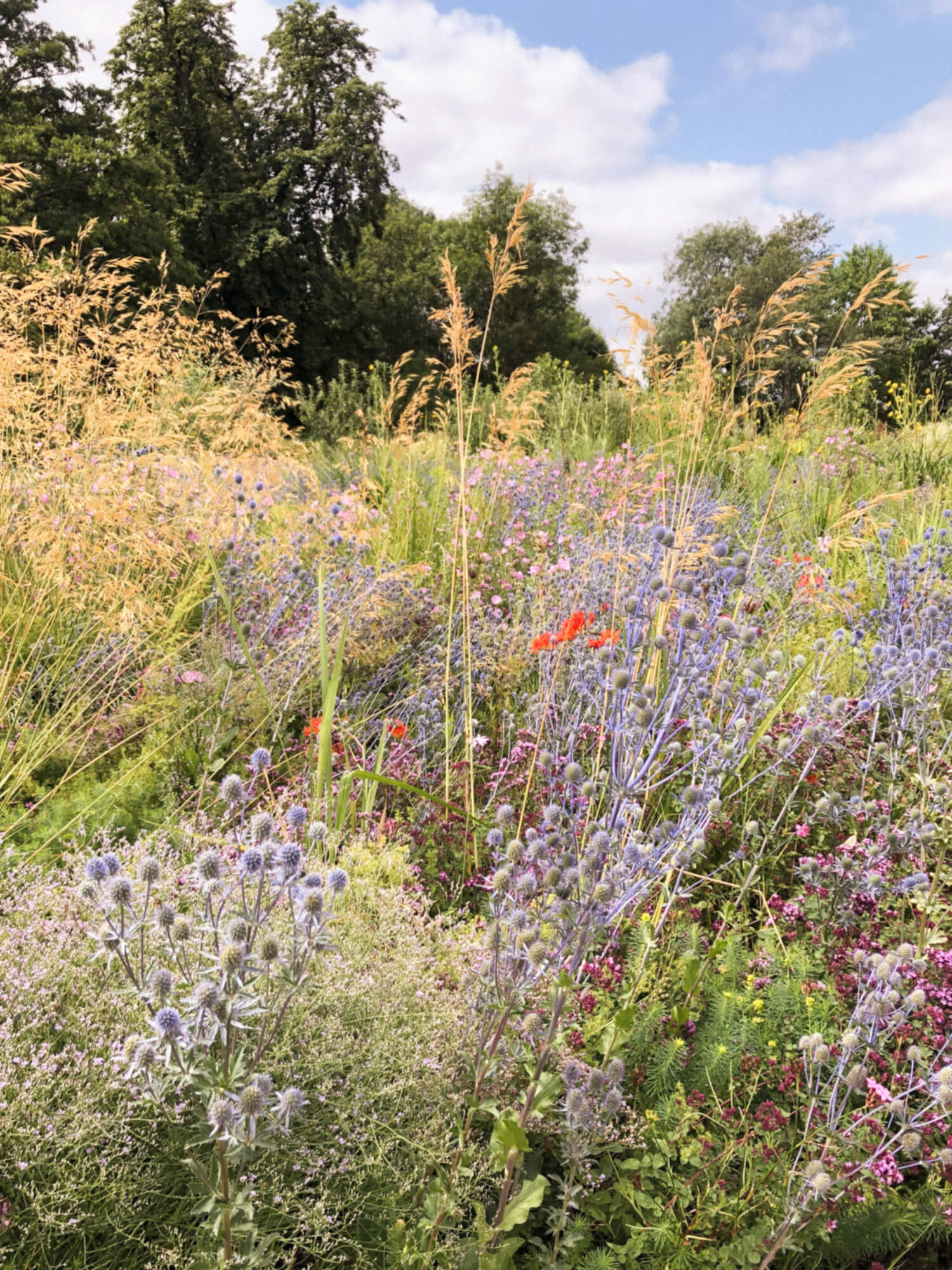 Botanic Garden, Oxford