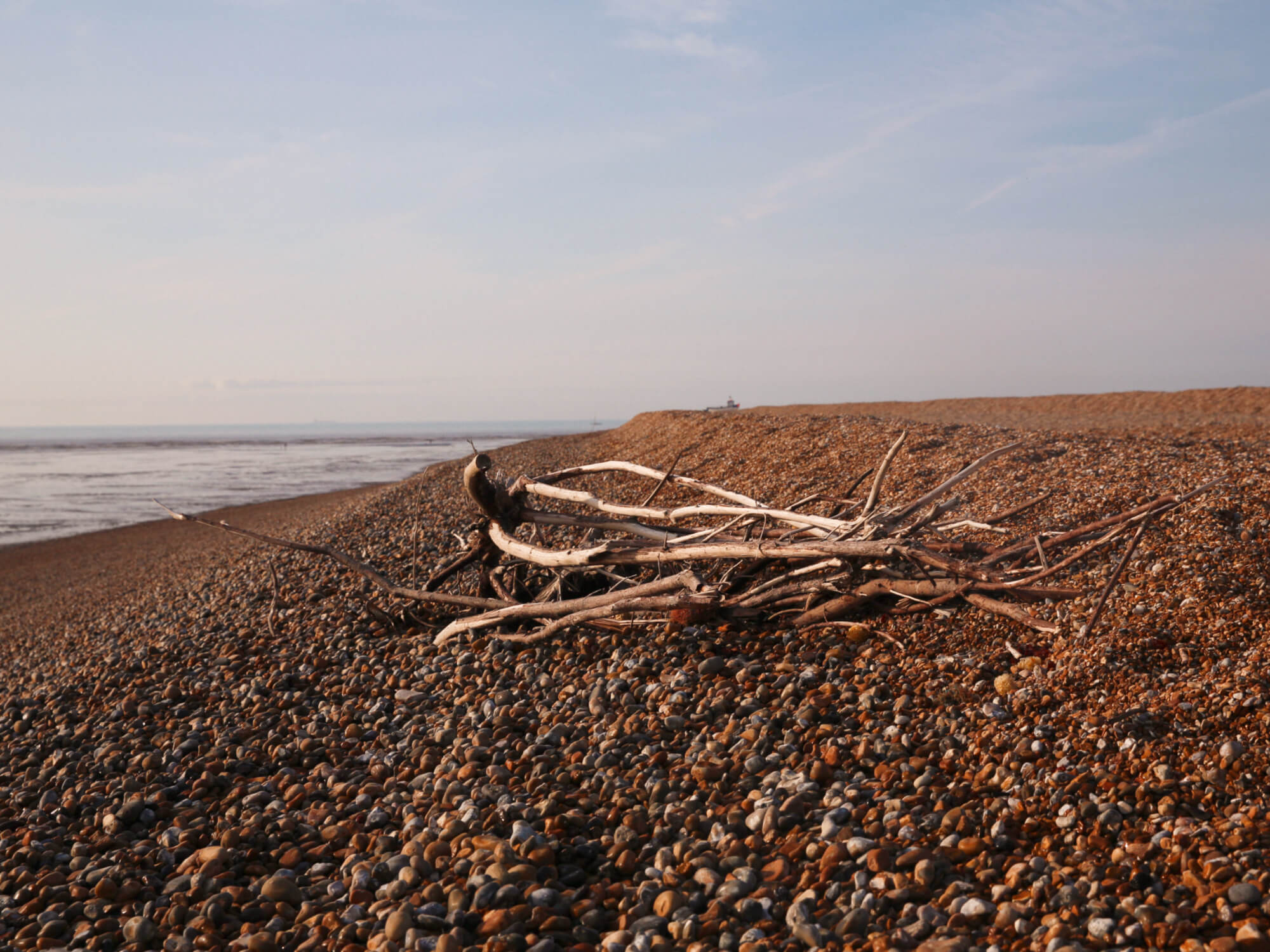 Dungeness