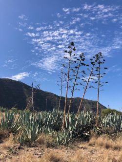 La Gomera