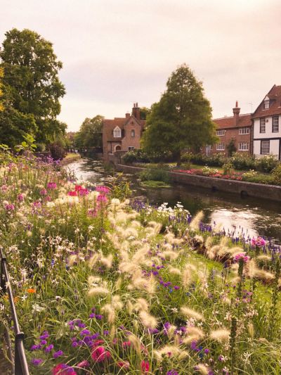 Canterbury Flowers