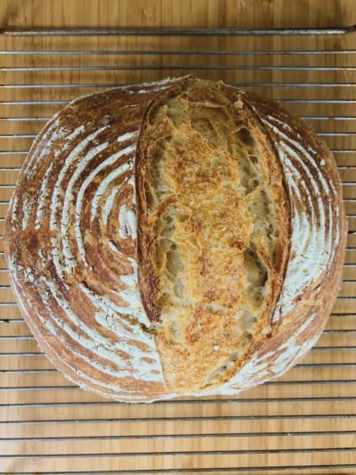 Selbstgebackenes Sauerteigbrot