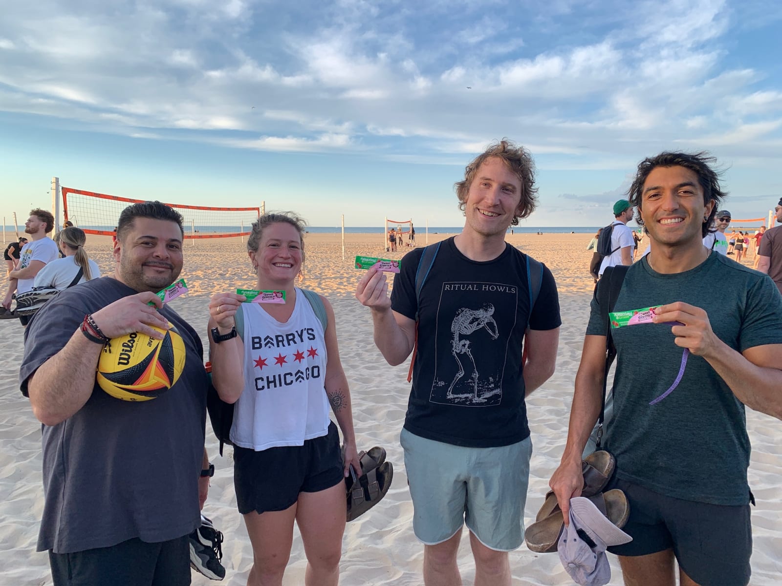 Amazing Grass at Montrose Beach