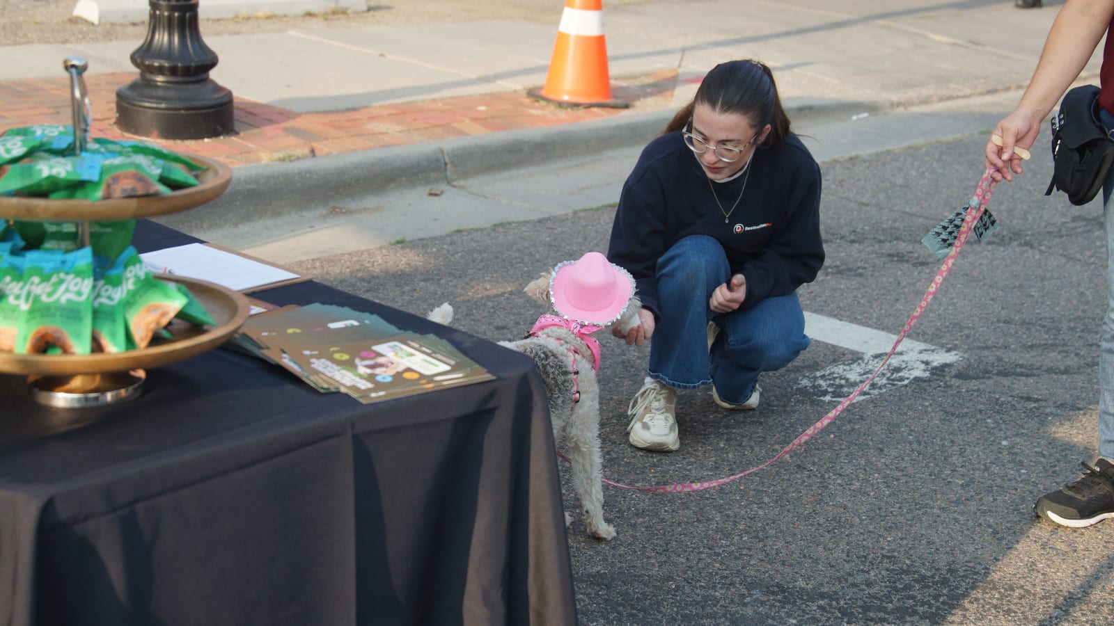 Pet Events brand activation