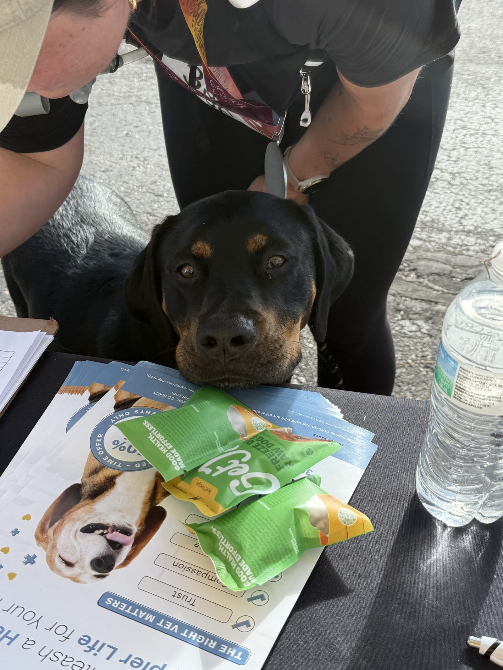 Get Joy & Co. activation