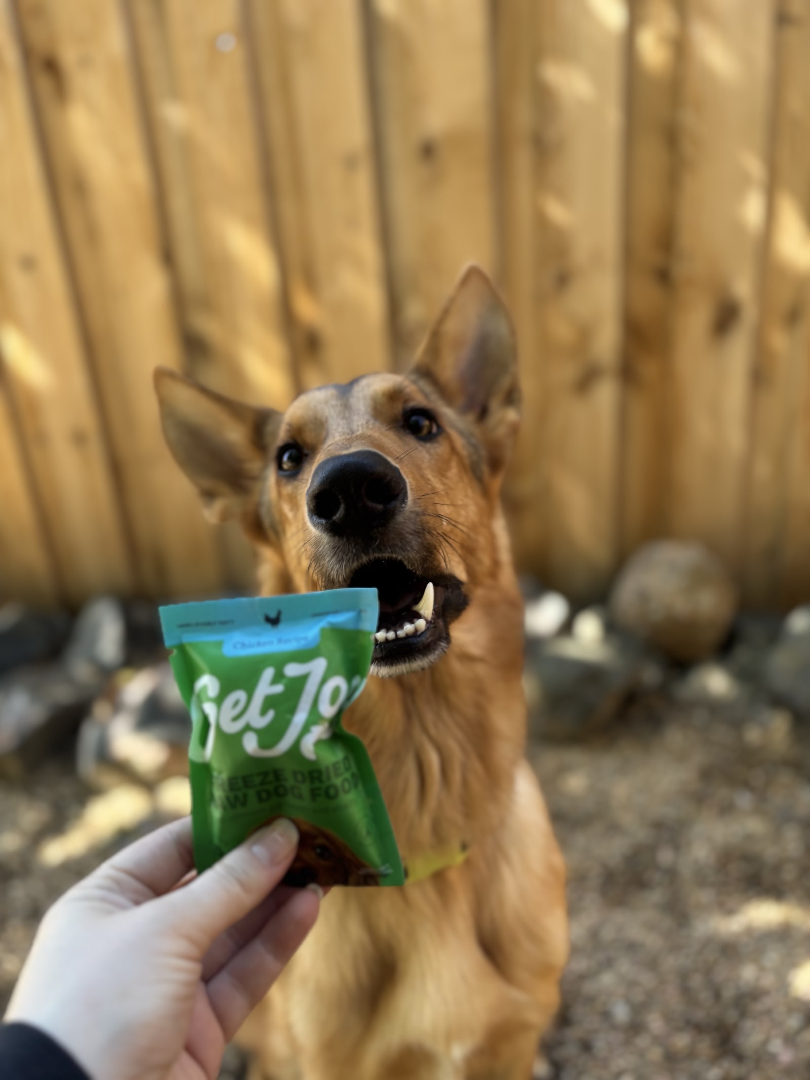 Get Joy & Co. at Bowhaus – Erie