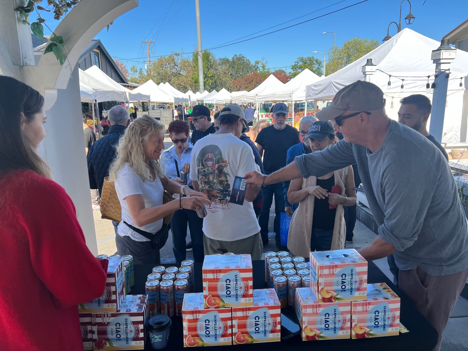 S.Pellegrino activation