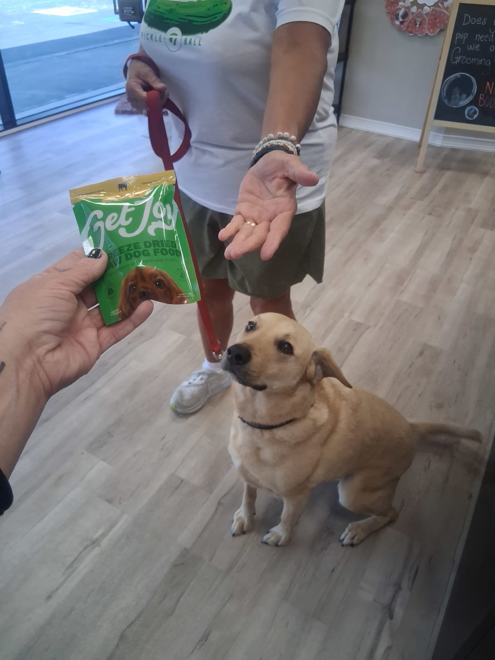 Get Joy & Co. at Dog Dayz of California