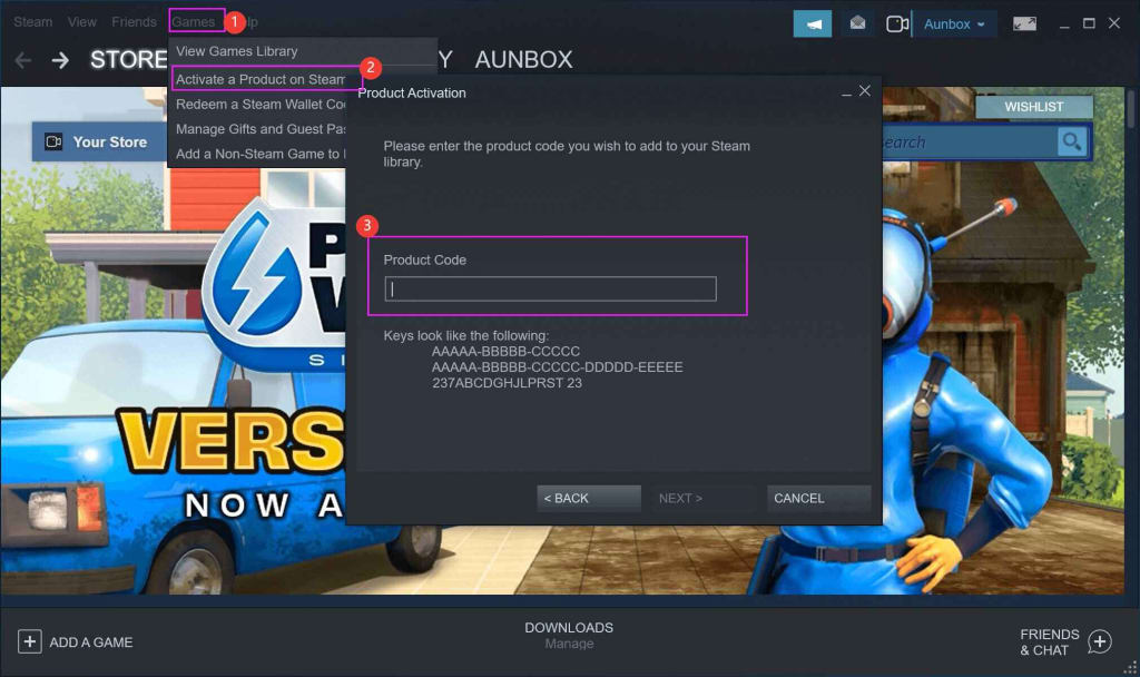 How to Redeem RecMaster Pro on Steam?