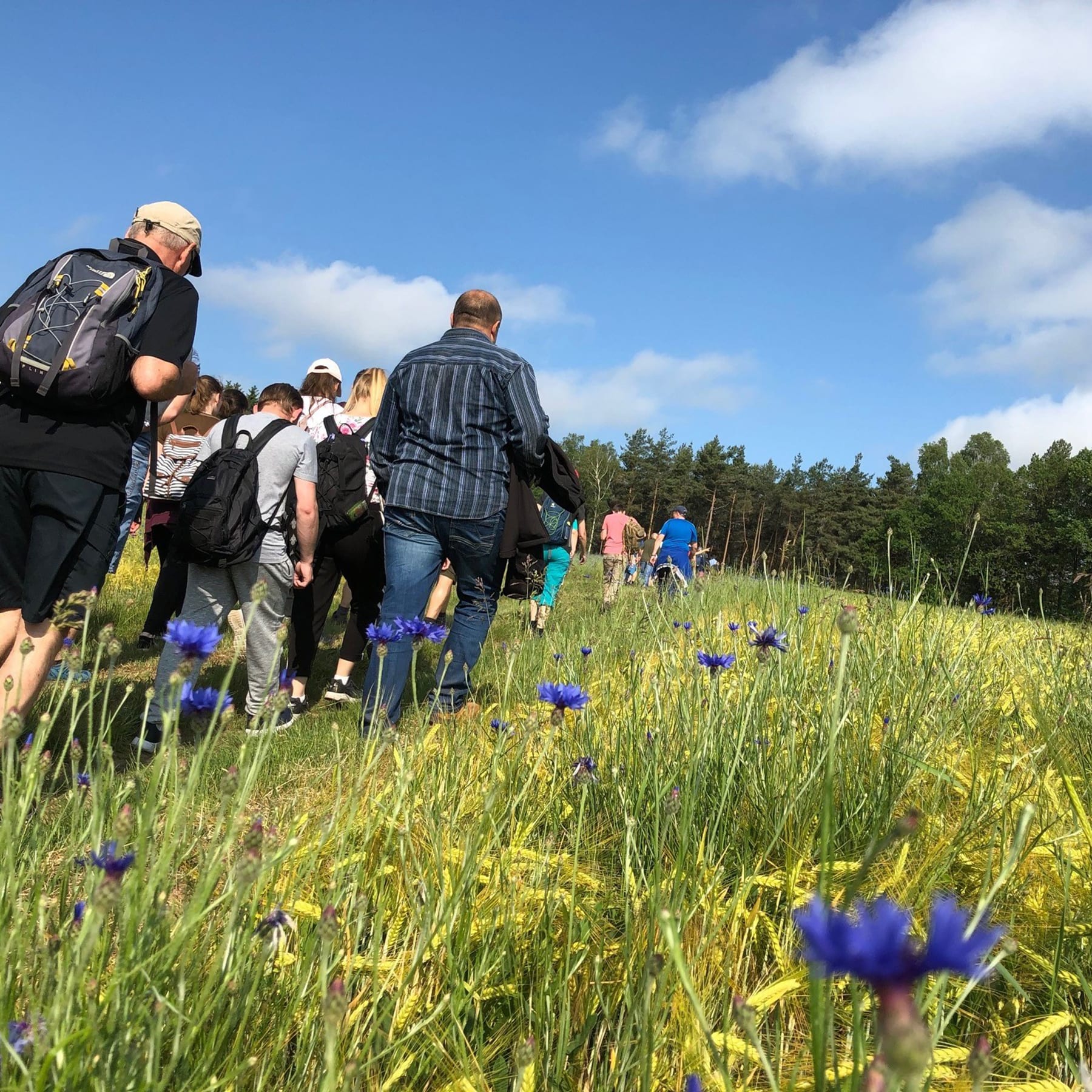Herding Wandertag