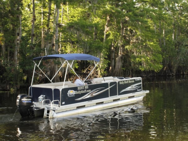 22' Pontoon Boat