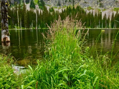 Trail Option: Fishtrap Lake Campground gallery photo 3