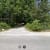 Tripp Lake 