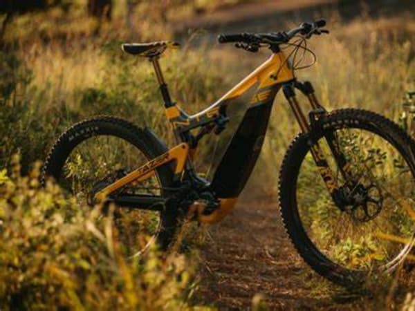 Intense Tazer MX Expert - 5 HP