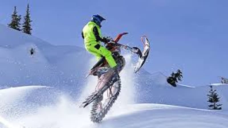 Honda  450 Timber-Sled - 450 CC