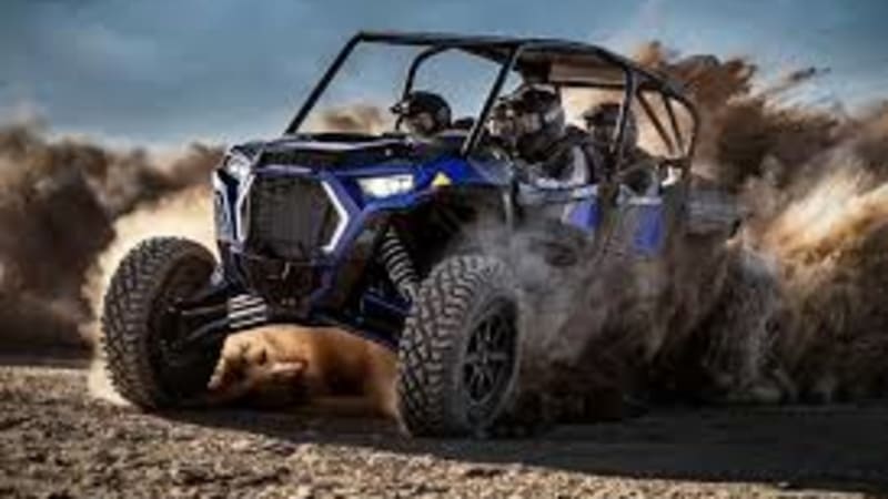 Polaris XP 4 1000 - Blue