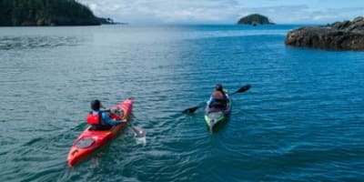 Wilderness Systems Tarpon 105 - Paddle